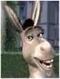 Donkey.jpg